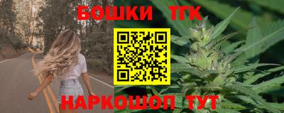 мдпв Татарск