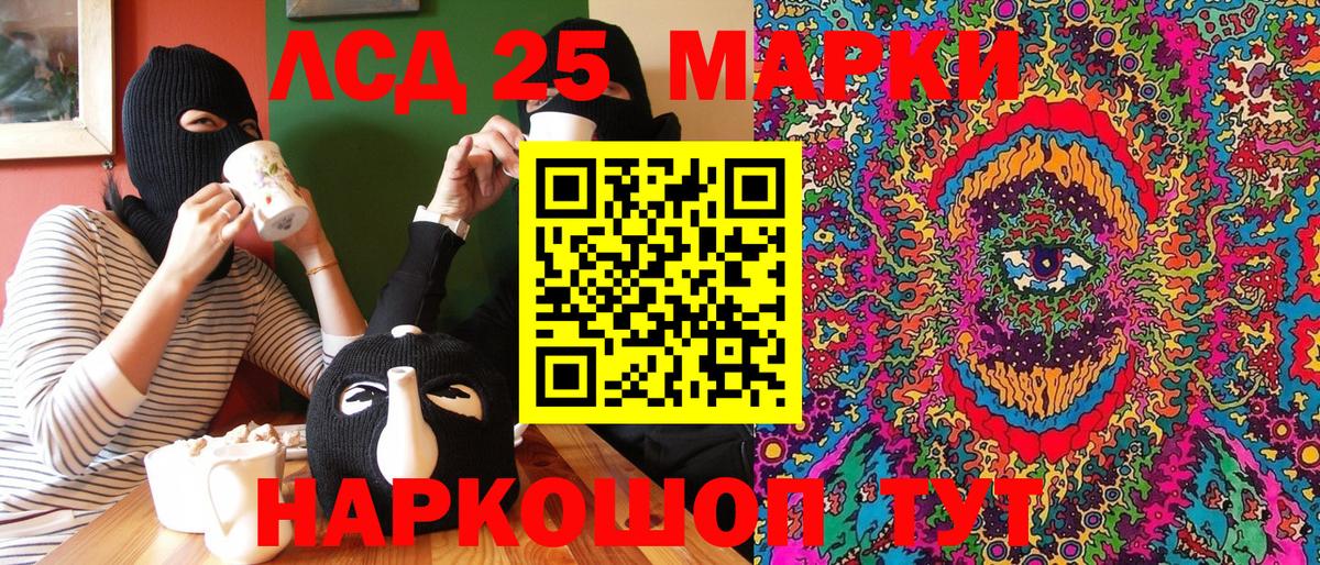 Новочебоксарск  купить наркоту  Наркотические марки 1500мкг  Вход с VPN  Наркотические марки 1500мкг 