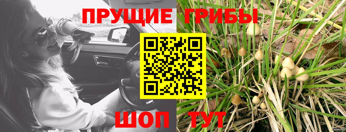 наркотики  Галлюциногенные грибы прущие грибы  Вход с VPN  Новочебоксарск  Галлюциногенные грибы MAGIC MUSHROOMS 